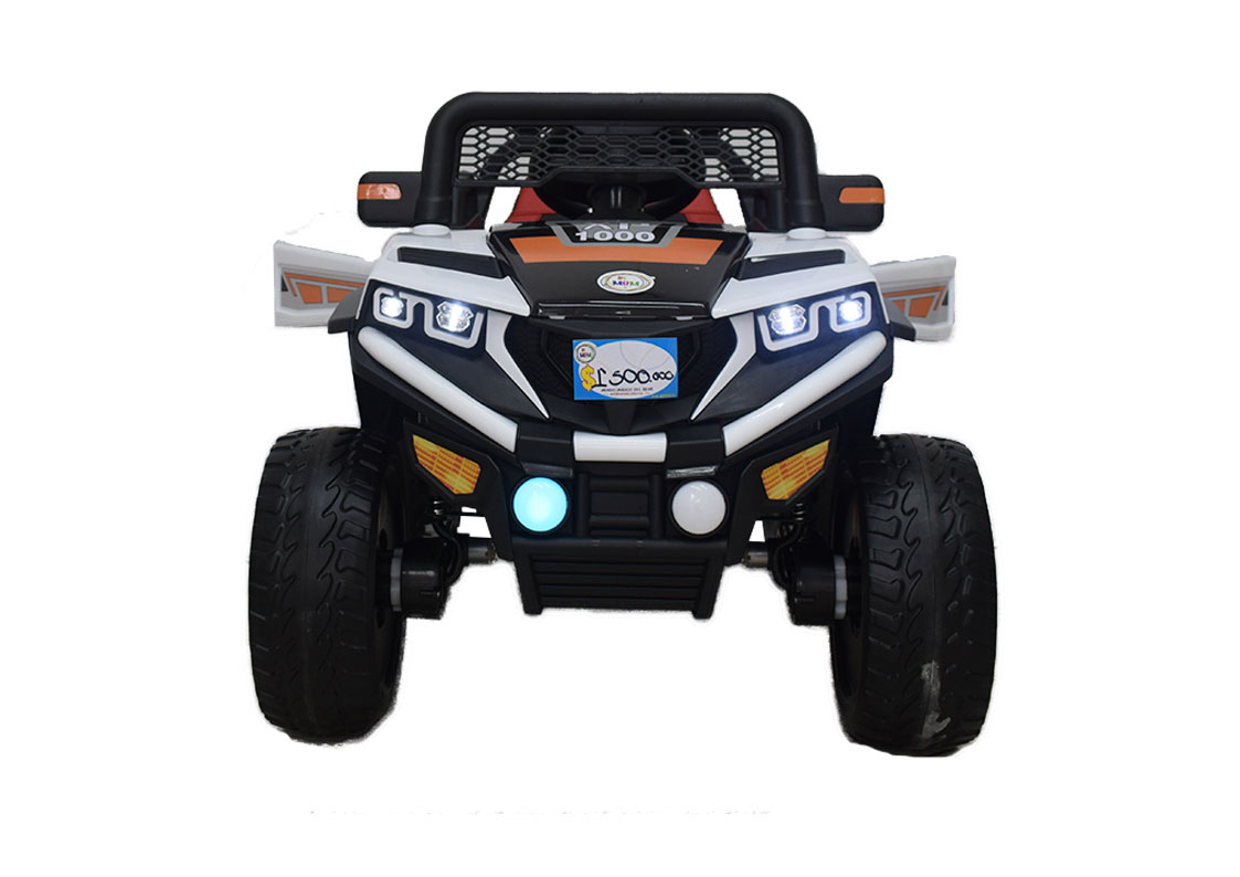 Polaris5.jpg